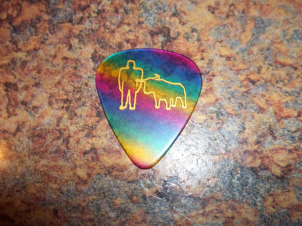 Guitar Pick Medium Celluloid - Paul & Babe - Gold on Rainbow Plastic