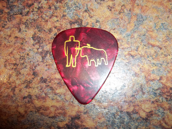 Guitar Pick Medium Celluloid - Paul & Babe - Gold on Red Pearl Plastic