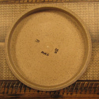 Gateway Magic Organic Hemp Super Soft SS Les White Warrior Putt & Approach Disc Golf Disc 173 Grams Brown